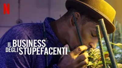 Il Business degli Stupefacenti