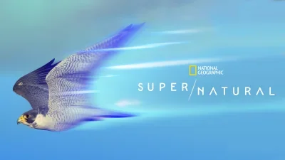 Super/Natural