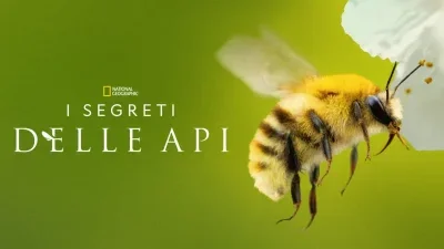 I segreti delle api