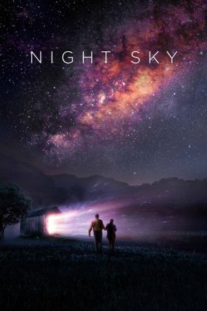 Notte stellata (2022)